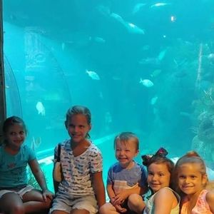 Meet your Posher, Ricky